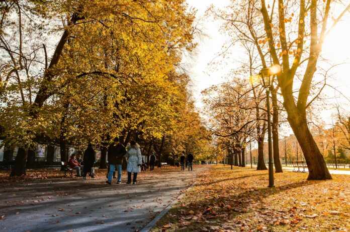 People walking through a scenic Warsaw park in autumn sunshine.